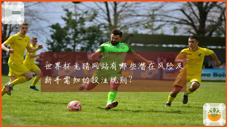 世界杯竞猜网站有哪些潜在风险及新手需知的投注规则？