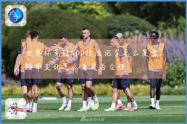 世界杯竞猜app投注记录怎么复盘？赔率变化怎么看是否合理
