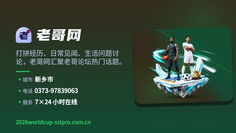 老哥网概况